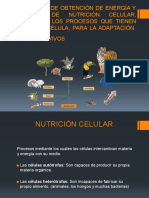 Procesos de Obtención de Energía