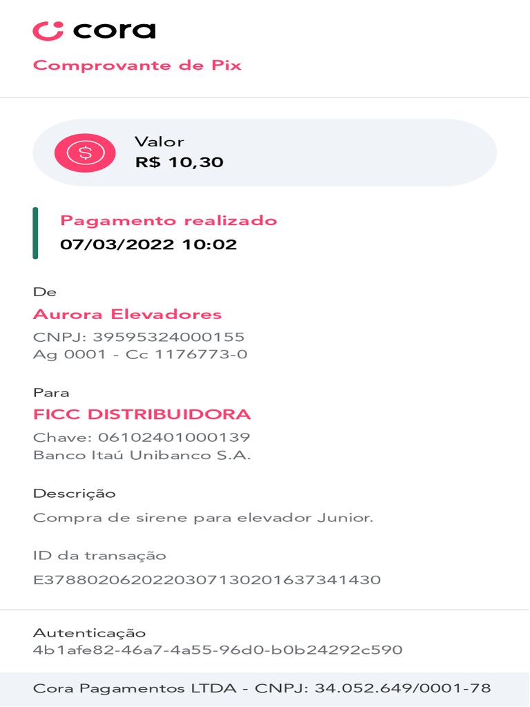 comprovante-pagamento-pix-pdf