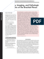 Anatomy, Imaging, and Pathologic Conditions of The Brachial Plexus