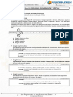 S4 - Sangrías, Numeración y Viñetas