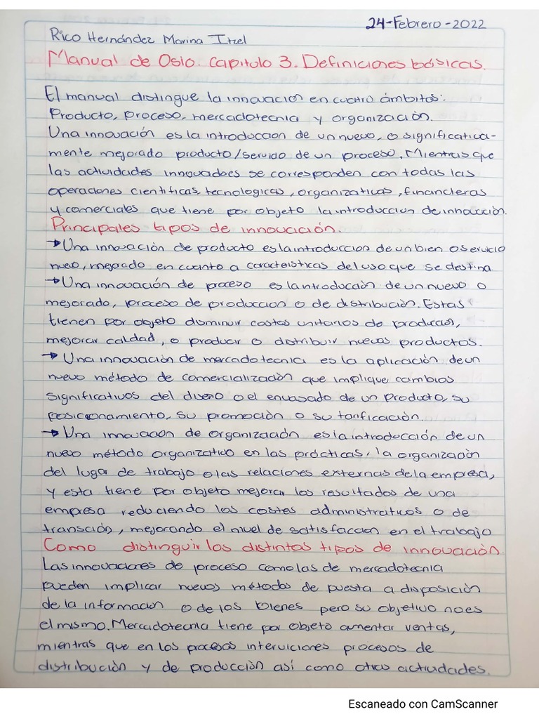 Resumen. Capitulo 3 Manual de Oslo-1 | PDF