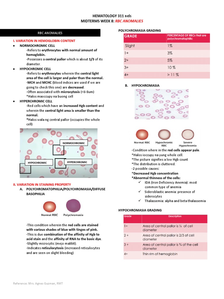 RBC Anomalies and Grading Criteria | PDF | Anemia | Red Blood Cell