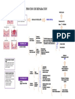 Esquema Del Proceso de Reparación