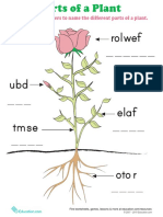 Rolwef: Unscramble The Letters To Name The Different Parts of A Plant