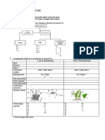 LKPD 1 Kingdom Plantae