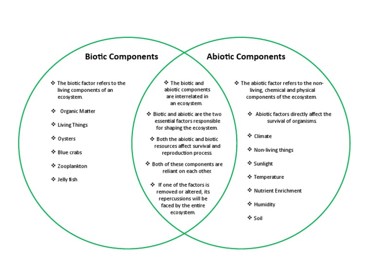 Abiotic vs. Biotic (Venn Diagram) PDF