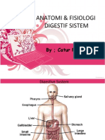 anatomi-fisiologi-pencernaan