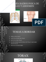 Anatomía radiológica de tórax y abdomen presentacion