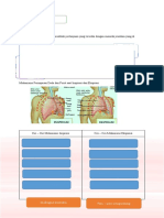 LKPD Volume Pernapasan