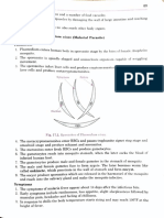 Plasmodium: Identification