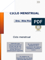 Ciclo Menstrual