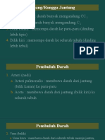 Ruang Jantung dan Peredaran Darah