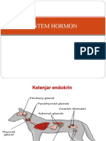 Sistem Hormonal