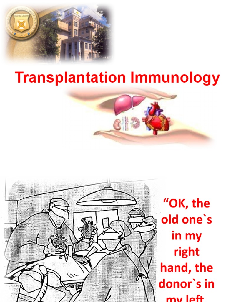 Transplantation Immunology PDF Major Complex