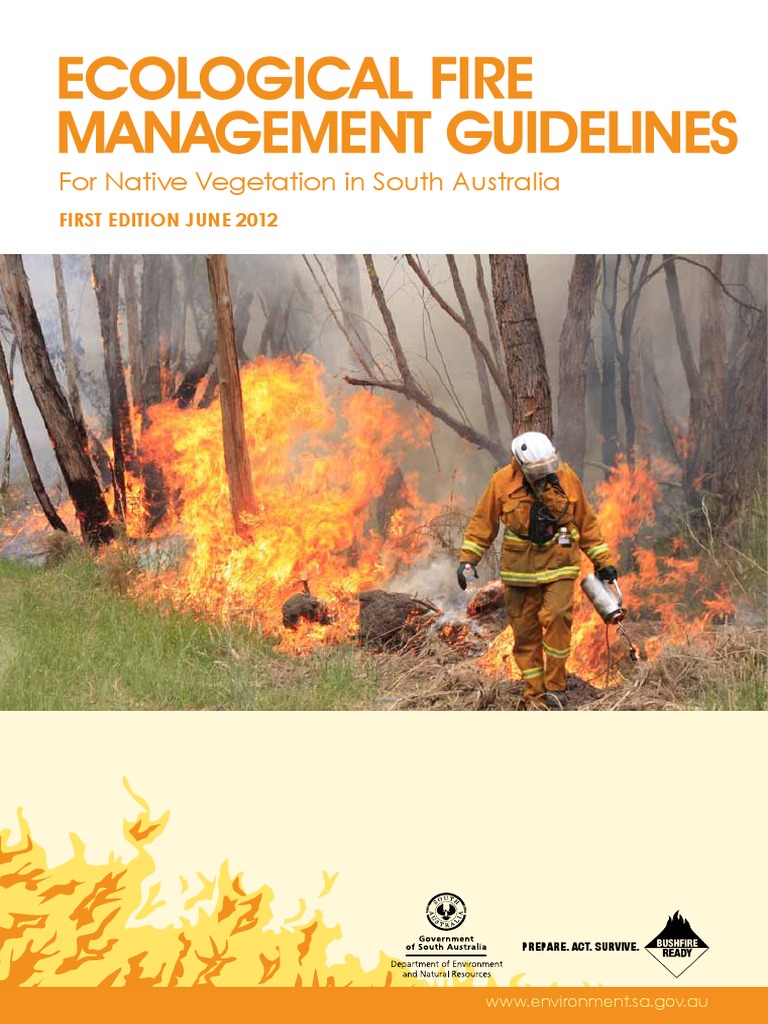 Ecological And Biodiversity Benefits Of Megafires – LRIXZL