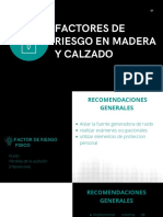 Factores de Riesgo en Madera y Calzado