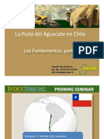 Seminar Aguacate Poda