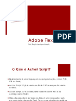 Flex_p2
