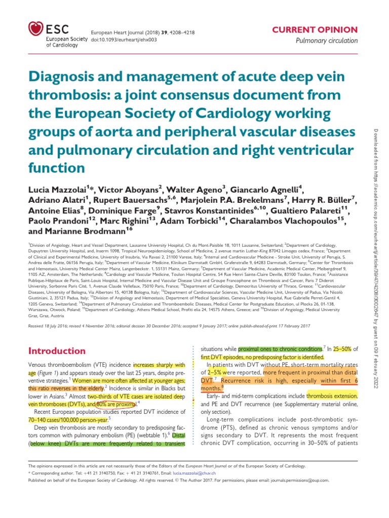 ESC Diagnosis and Management of Acute Deep Vein Thrombosis | PDF ...