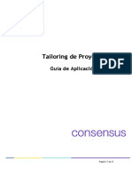 Servicio de Stress Testing - Guía de Tailoring de Proyecto