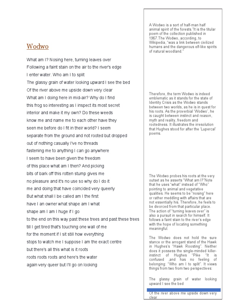 Wodwo | PDF