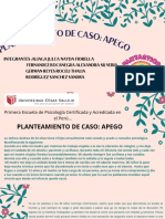 Diapositivas Del Caso Del Apego