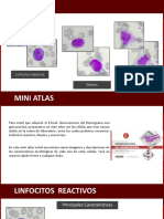 Mini+Atlas Espanhol PDF