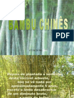 Bambu Chines