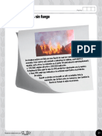 Guía 10 Bosques sin fuego: Prevención de incendios forestales