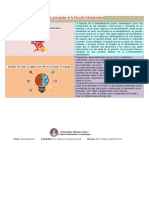 Cuadro Comparativo Filosofia