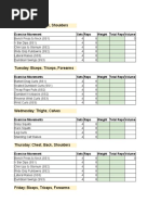 (6 Day - Advanced) Vince Gironda 8x8 Split Workout Routine Spreadsheet