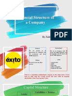 Financial Structure of A Company: by Juan Carlos G