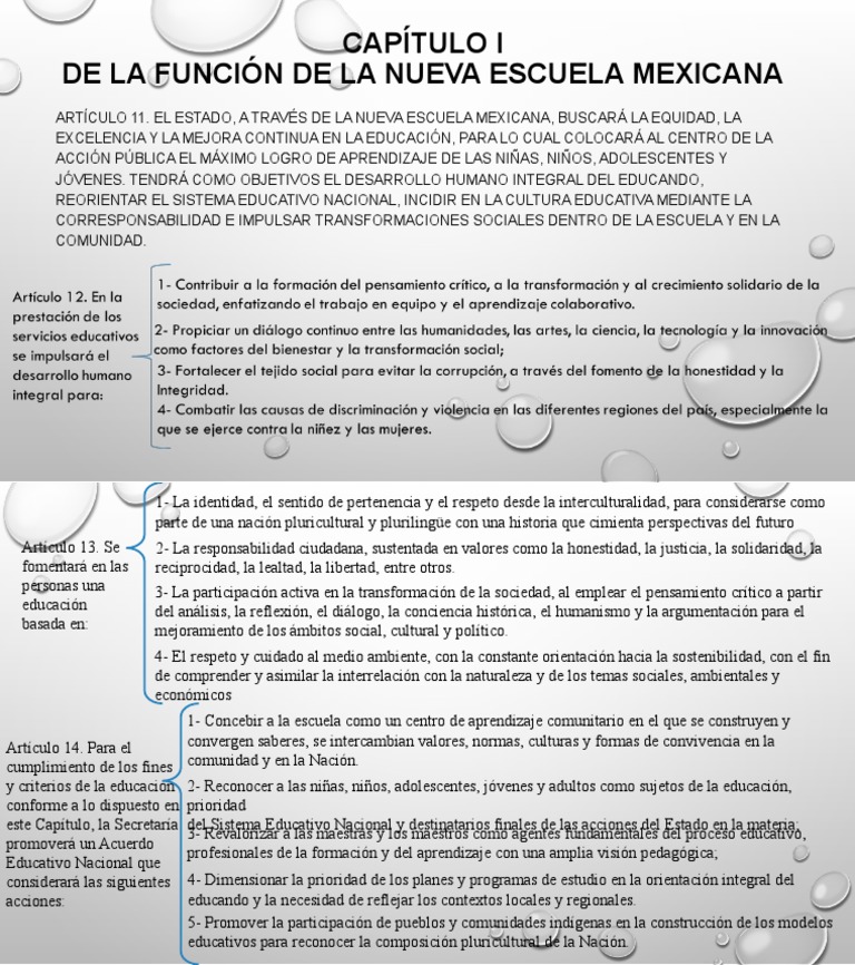 Función y Principios de la Nueva Escuela Mexicana | PDF ...