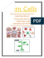 Stem Cell Fact File