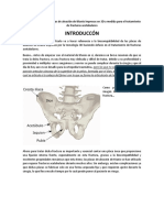 Biocompatibilidad de Placas de Aleación de Titanio Impresas en 3D A Medida para El Tratamiento de Fracturas Acetabulares