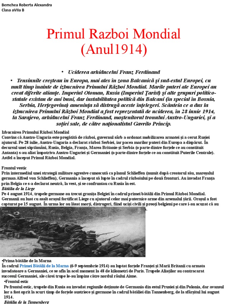 Proiect Istorie Primul Razboi Mondial | PDF