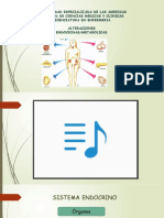 Sistema Endocrino