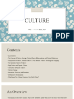 Culture Document Breaks Down Key Concepts