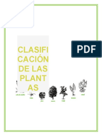 Clasificación de Plantas