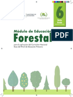 Modulo Forestal para Sexto Primaria