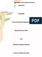 EVALUACION DIAGNOSTICA BLOQUE V-Alvarez Peña Saydeli