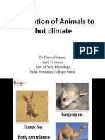 Adaptation of Animals To Hot Climate