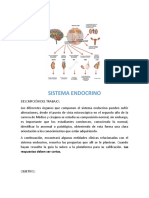 Guía Especial, Correlación Clínica, Sistema Endocrino