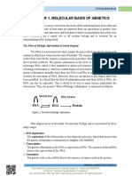 Chapter 1. Molecular Basis of Genetics: DNA R NA Protein