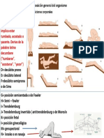 Posiciones Corporales
