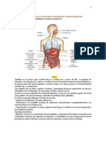 Identificación de La Anatomía y Fisiología Del Aparato Digestivo