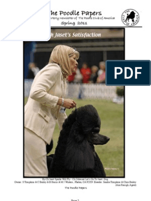 paul redding toy poodles