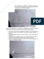 Clase 17-11-2021