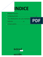 El Problema de Los Pueblos Indígenas en México