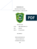 Mikrobiologi: Mengenal Fungi (Jamur) DOSEN PENGAMPU: Ir. Sulhaswardi, MP